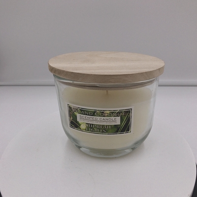 OEMのはえの防水加工剤は裏庭のための屋外のCitronellaの蝋燭をかぎつけた