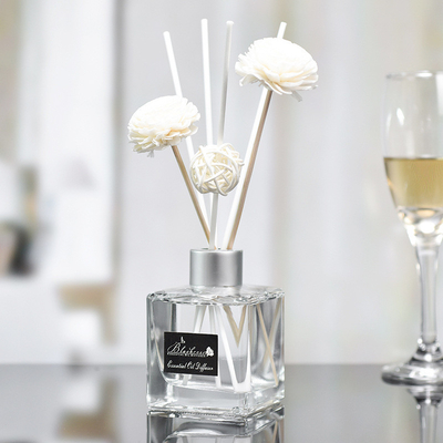 ガラス ビンDPMAの小さい香りのReedの拡散器およびオイル50ml