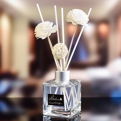 ガラス ビンDPMAの小さい香りのReedの拡散器およびオイル50ml